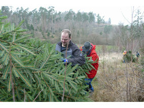 Es weihnachtet in St. Crescentius (© Karl-Franz Thiede)